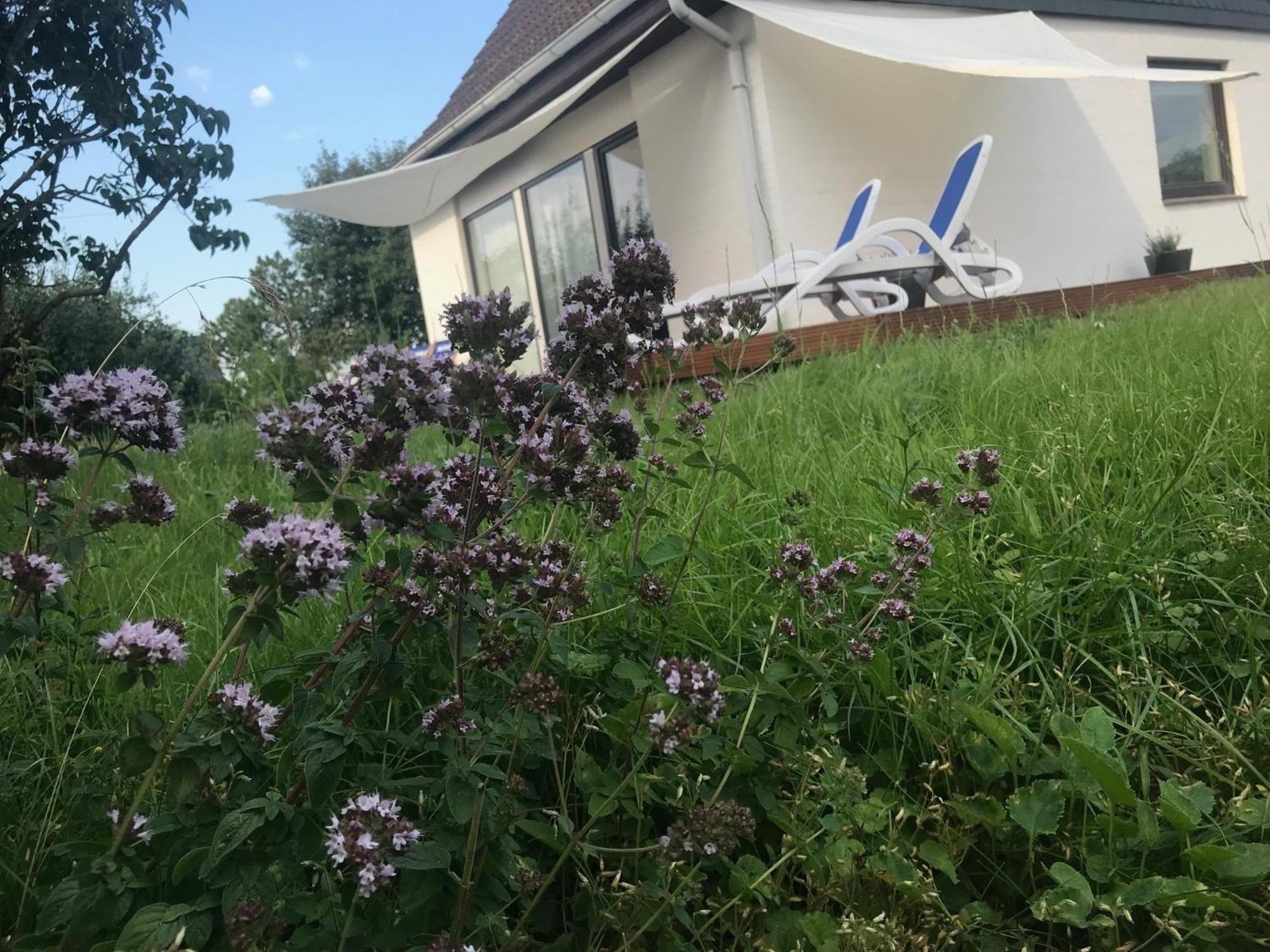 Landkirchen Casa Marcu Wohnung 2 Eg מראה חיצוני תמונה